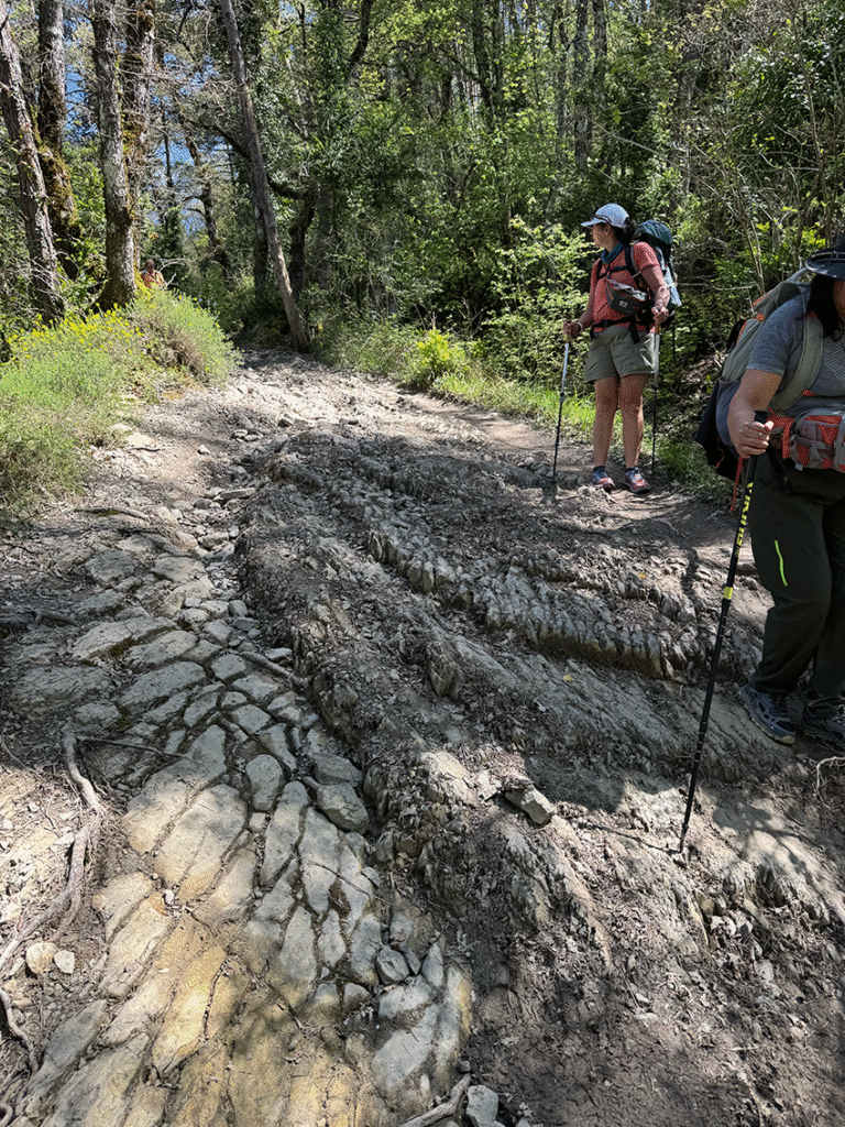 Camino dag 3 Burguete Larrasoana
