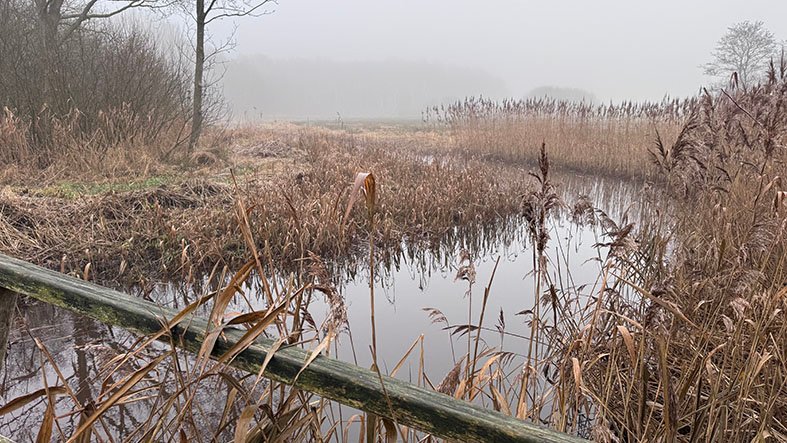 Wandeling Oud Avereest uitkijk over de rest